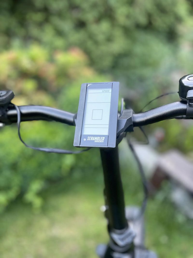 Ducati Scrambler fat