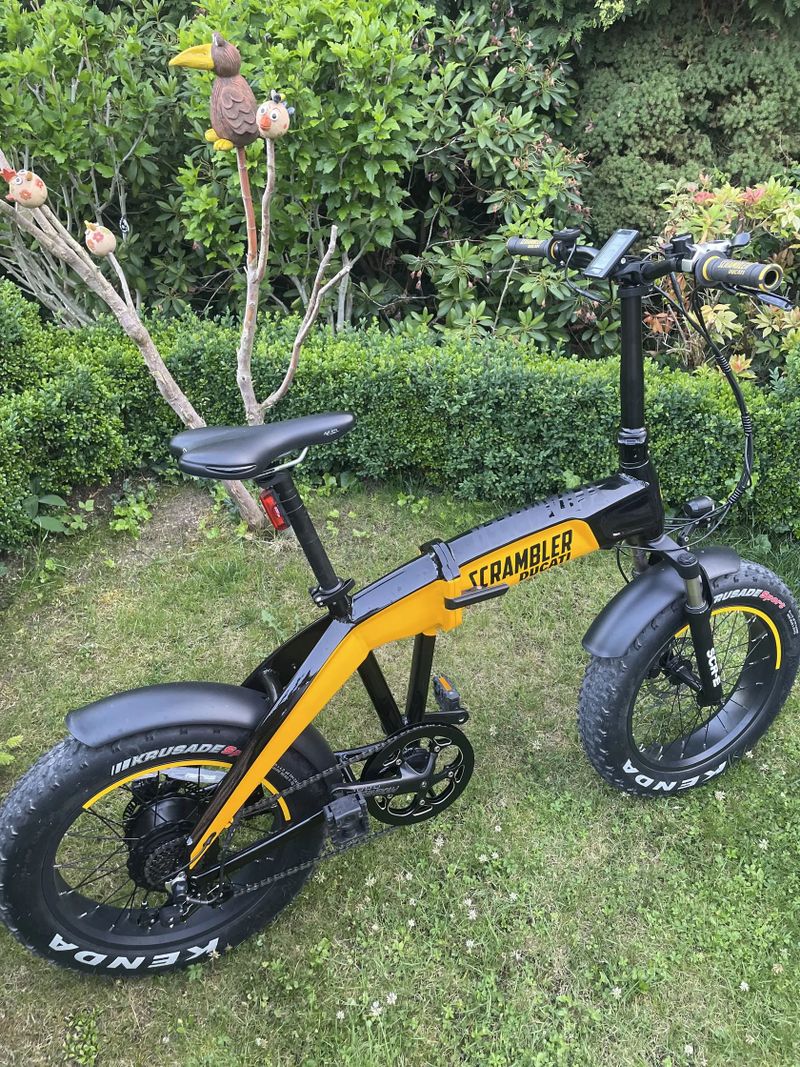 Ducati Scrambler fat