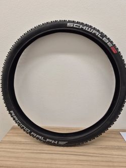 Schwalbe