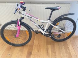 Author a - matrix SL