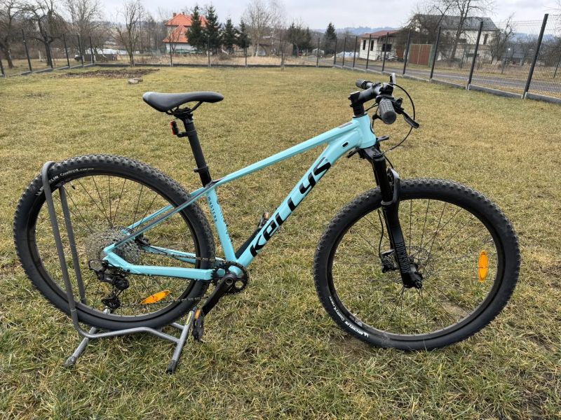 Kellys Mystery 70 29"