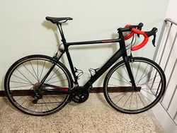 Canyon CANYON ENDURACE CF