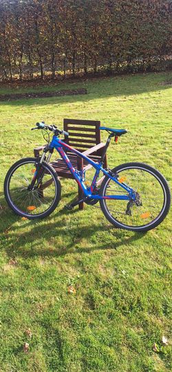 Rock Machine Manhattan 50