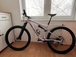 Specialized Epic EVO Comp