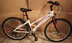 Dětské kolo Leader Fox Indian 