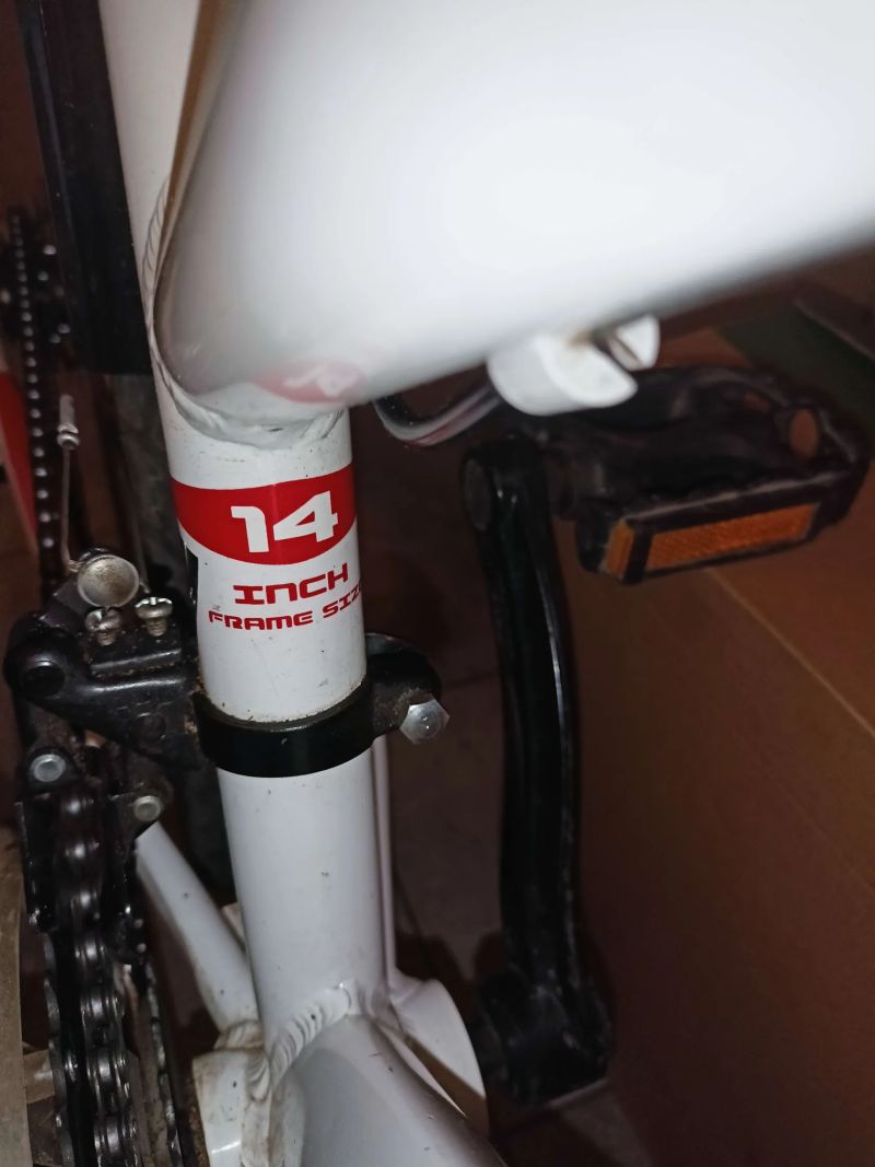 Dětské kolo Leader Fox Indian 