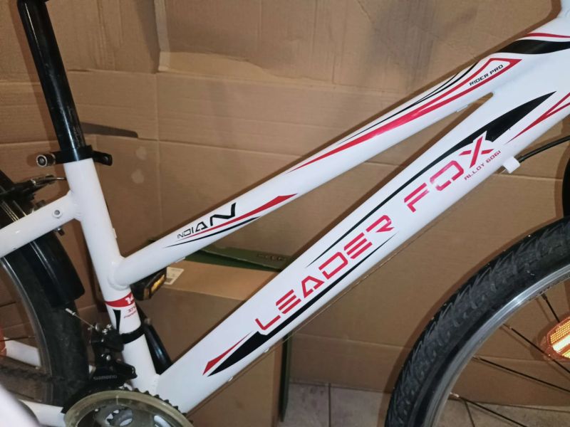 Dětské kolo Leader Fox Indian 