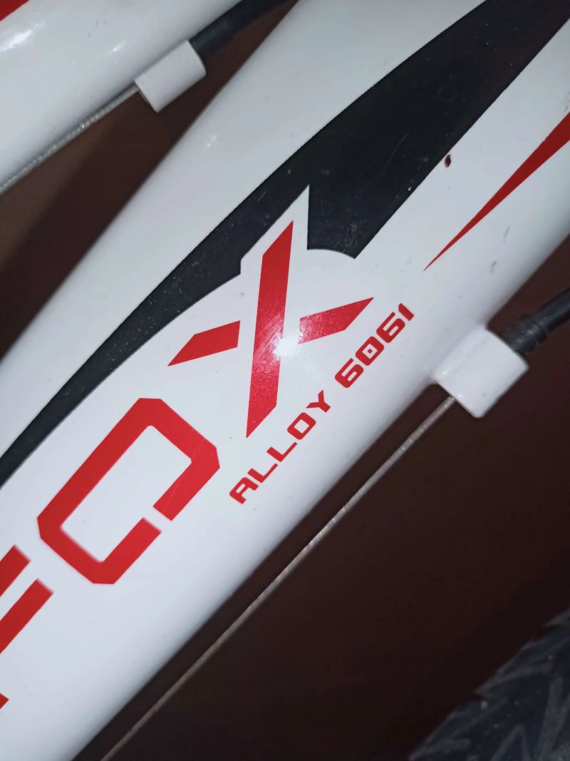 Dětské kolo Leader Fox Indian 