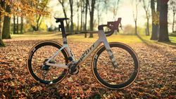 DT Swiss ARC 1100 Dicut® Carbon 50 Disc CL