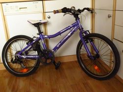 Dětské kolo Superior Paint 20