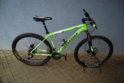 Cannondale Trail 29 L