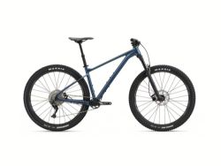 Giant Fathom 29 " 2 blue ashes