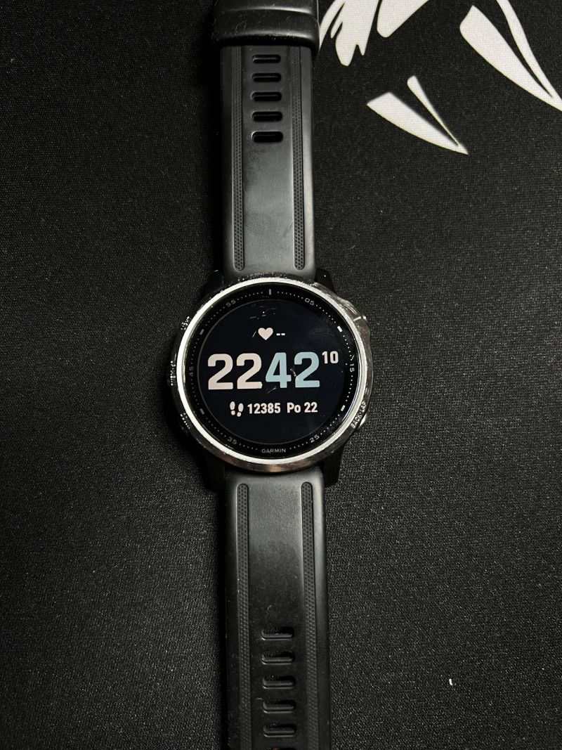 Garmin Fenix 6s