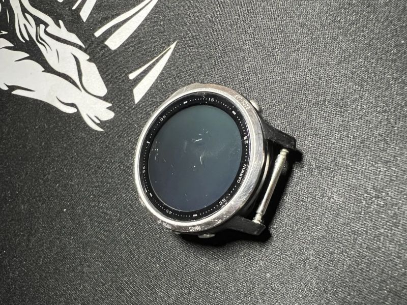 Garmin Fenix 6s