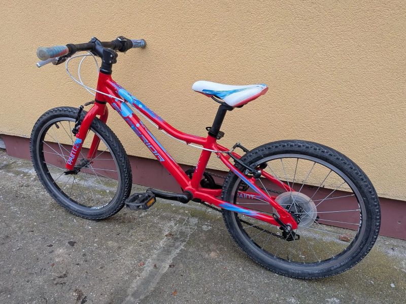 dětské kolo Superior Paint XC 20