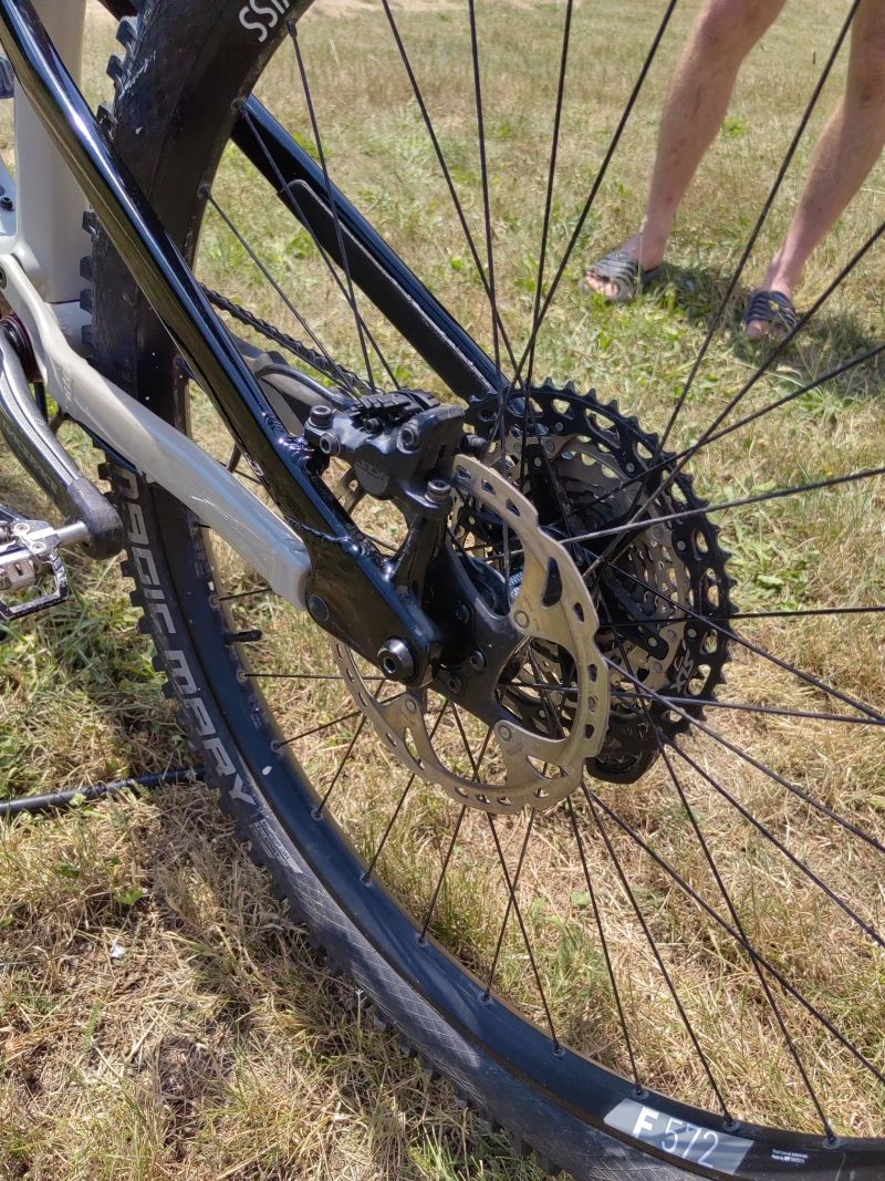 Rocky Mountain Instinct