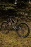 Specialized Stumpjumper EVO 29 