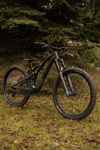 Specialized Stumpjumper EVO 29 