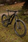 Specialized Stumpjumper EVO 29 