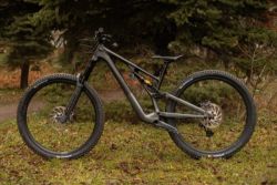 Specialized Stumpjumper EVO 29 