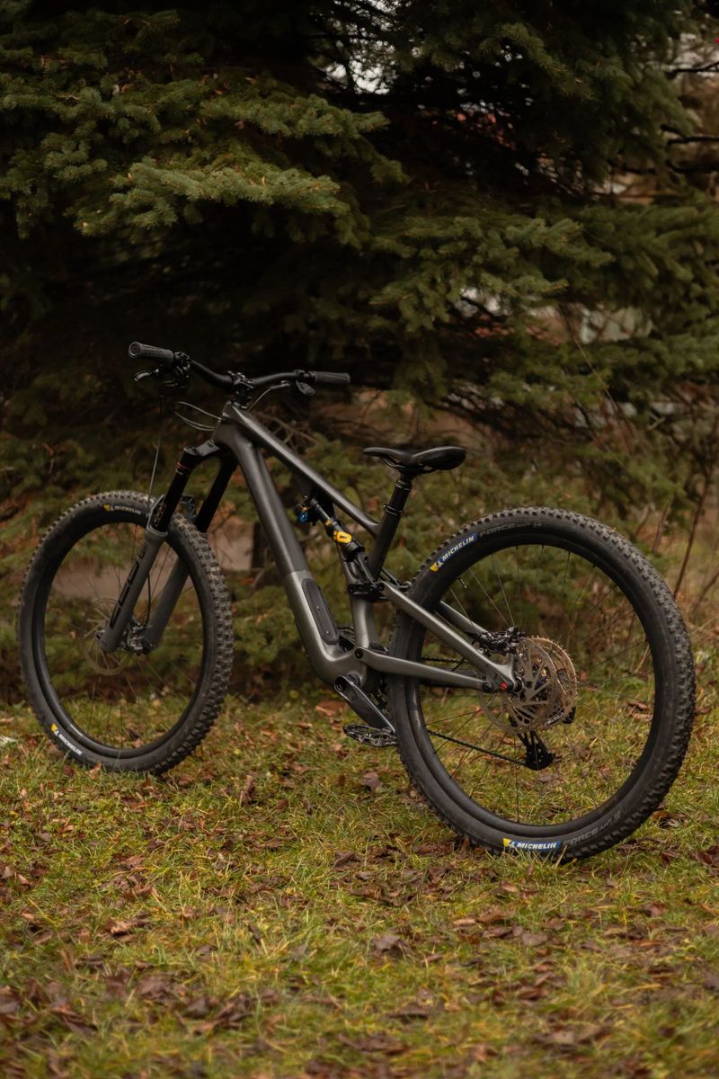 Specialized Stumpjumper EVO 29 