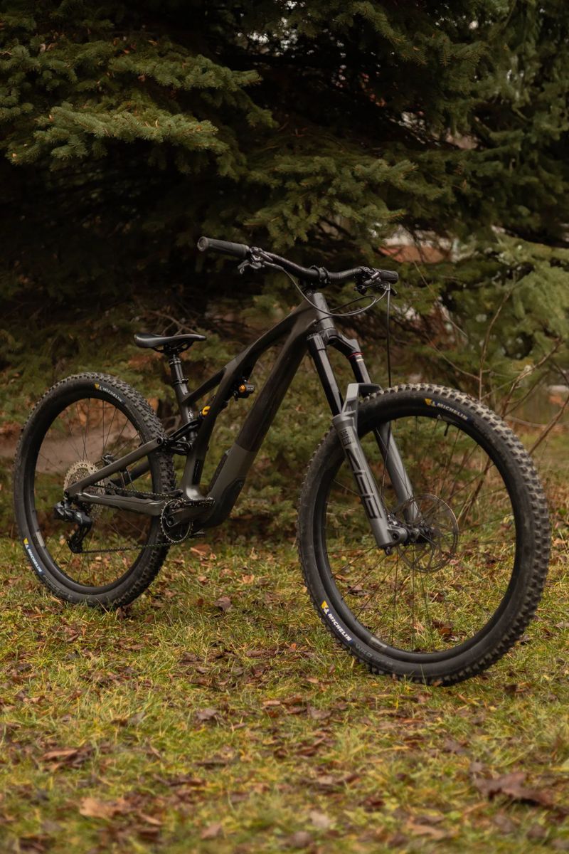 Specialized Stumpjumper EVO 29 