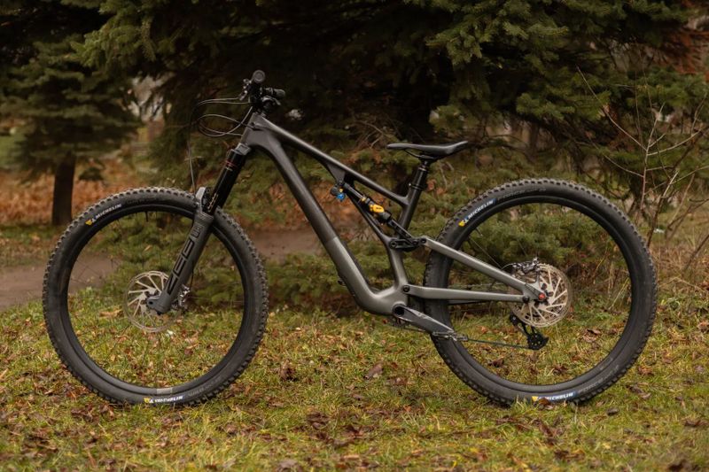 Specialized Stumpjumper EVO 29 