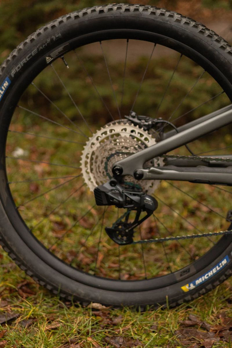 Specialized Stumpjumper EVO 29 