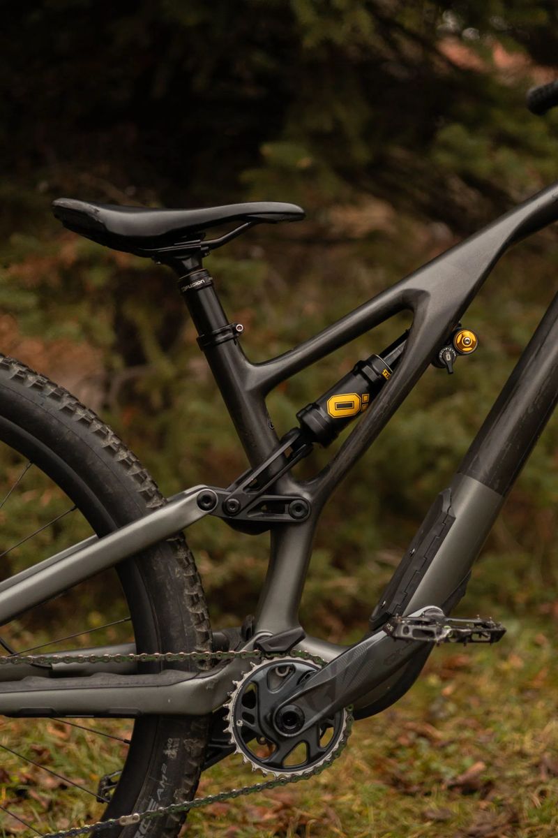 Specialized Stumpjumper EVO 29 