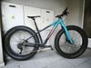 Trek Farley5
