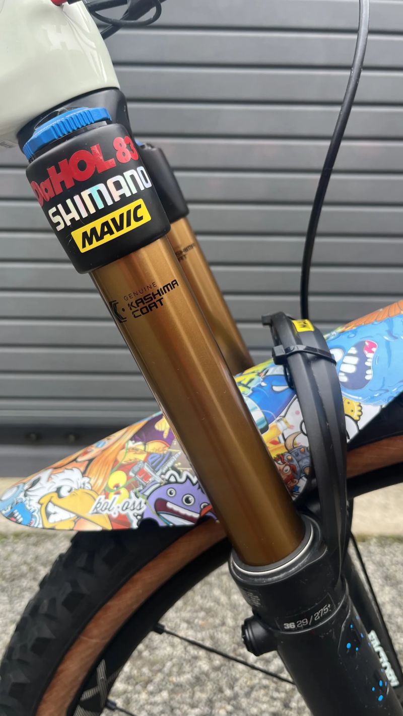 Orbea Rise M10 vel.M 19.2kg