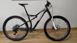 Specialized Stumpjumper FSR Elite 29 