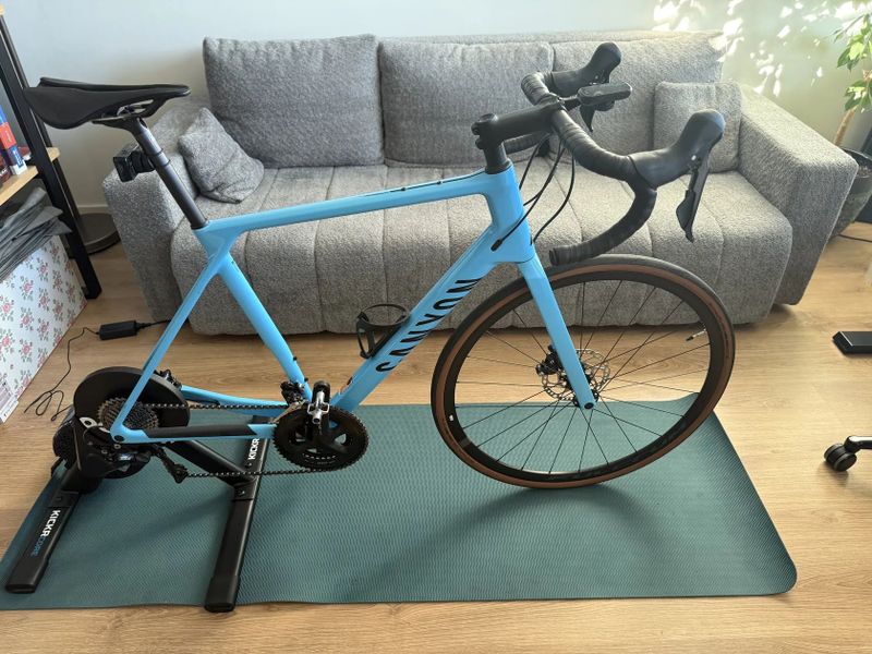 Canyon Endurance CF 7