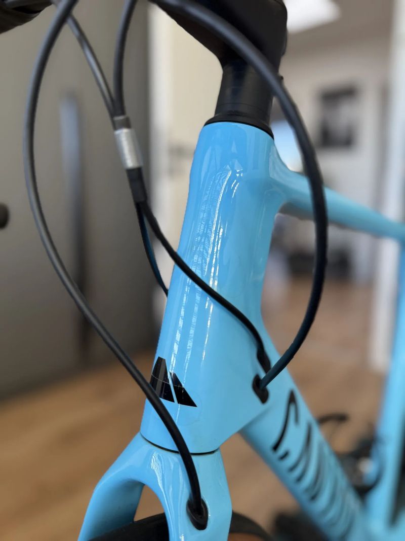 Canyon Endurance CF 7