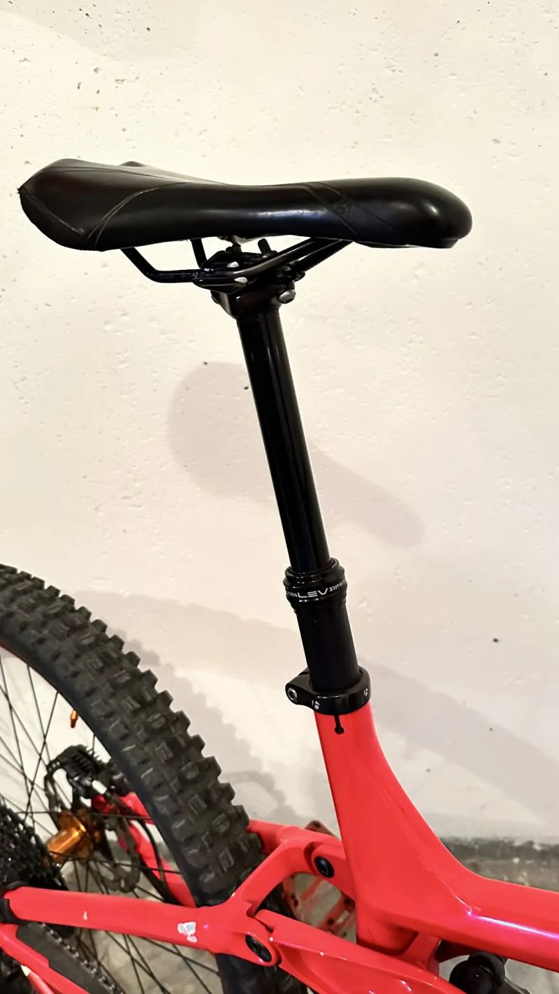 Trek Remedy 9