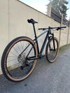 Carbon 29”