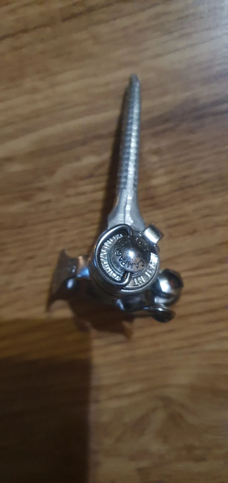 Řadící páčka Campagnolo Vicenza 2ks