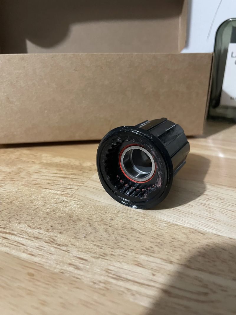 HG ořech DT SWISS Ratchet LN Shimano 8-11s