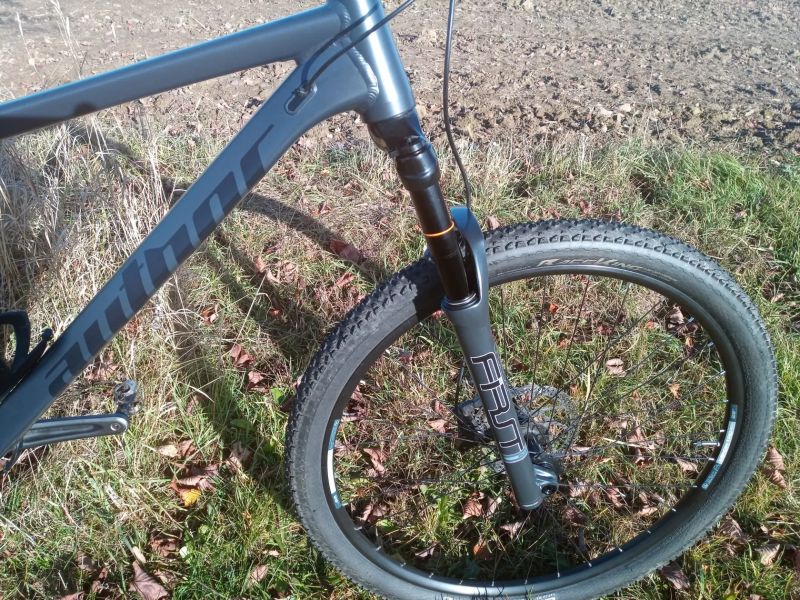 Author Versus 29 3,0