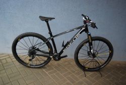 Focus Raven 29 Carbon M