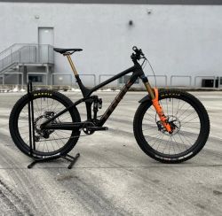 Trek Remedy 9.8