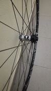 DT Swiss XR 1501 SPLINE 29"