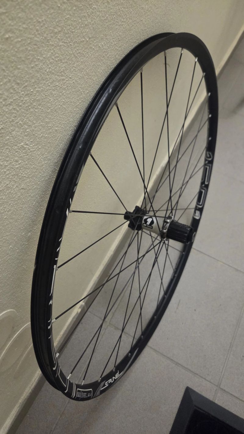 DT Swiss XR 1501 SPLINE 29"