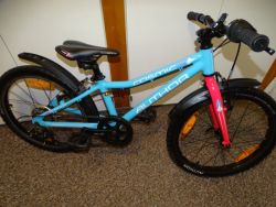 Author Cosmic 20" "Nové kolo"