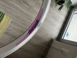 Campagnolo Shamal 12-HPW