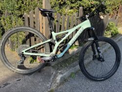 Specialized stumpjumper
