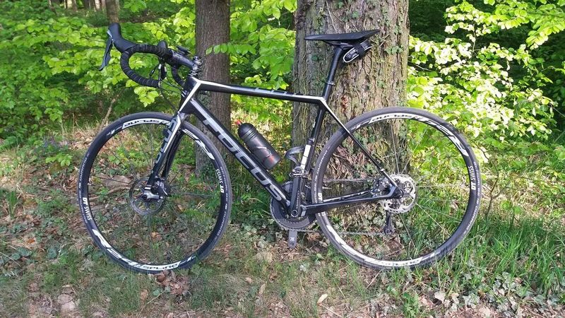 Focus Cayo , komplet Ultegra, karbon, kola DT dwiss