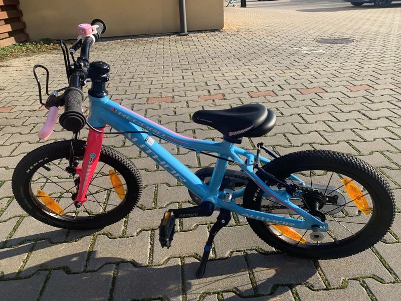 Author Record + helma