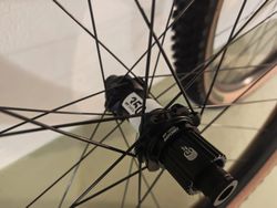 Kola DT Swiss 350 + Newman ráfky 