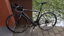 Focus Cayo , komplet Ultegra, karbon, kola DT dwiss